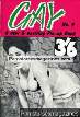 Gay 9 (UK) magazine